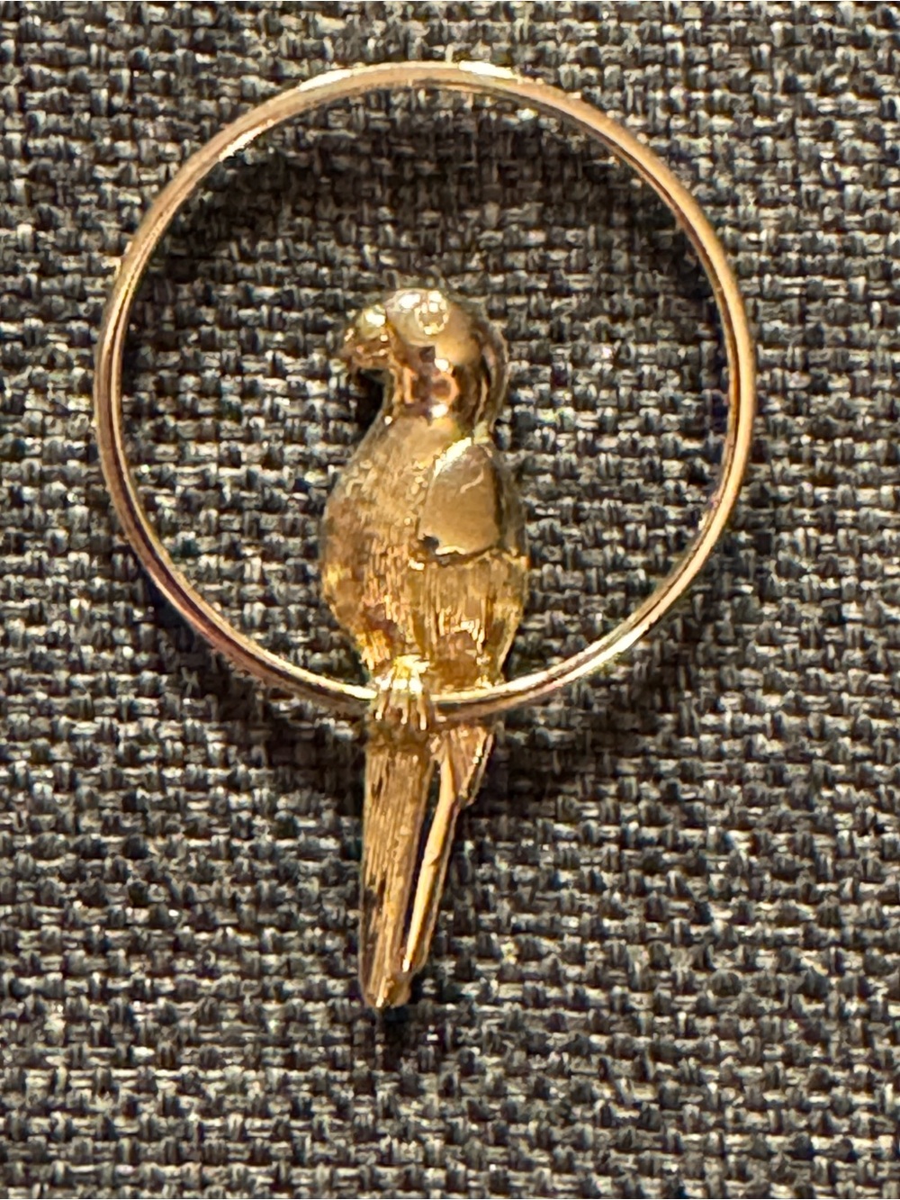 Vintage 1980 Avon Gold Tone Parrot Brooch in Hoop
